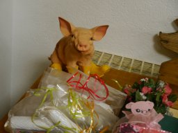 Schweinevergnügen 2025